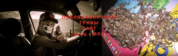 круглые Аша