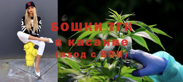 первитин Михайлов