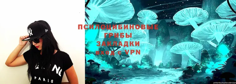 Галлюциногенные грибы Psilocybe  Миньяр 